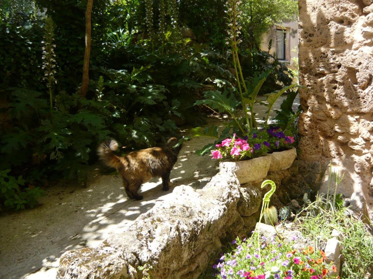 Bed and Breakfast Le Pra de Pé Cotignac Esterno foto
